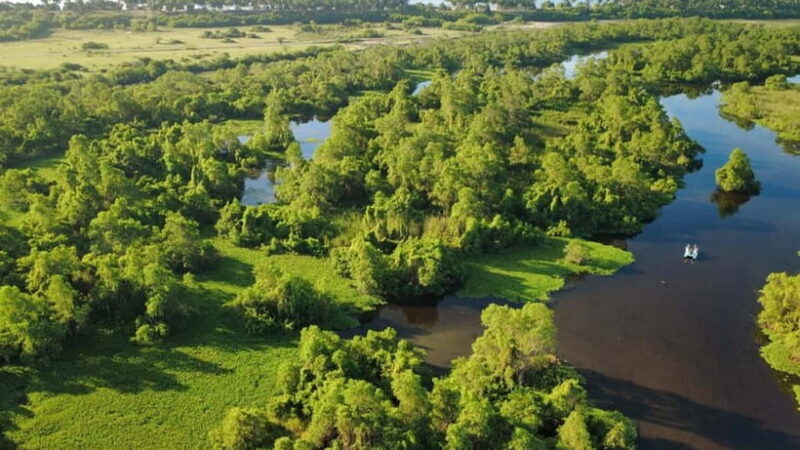 Kalametiya Sanctuary: Bird Watching by Private Boat Tour - The Sum Up