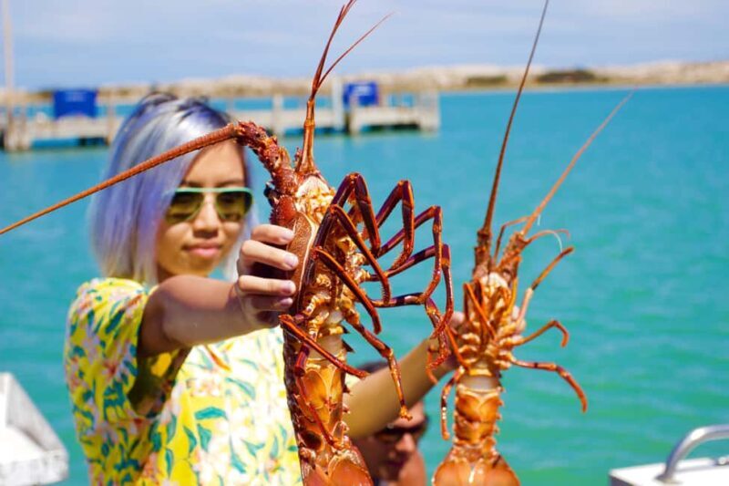 Kalbarri Crayfish Catch & Keep Tour - Key Points  