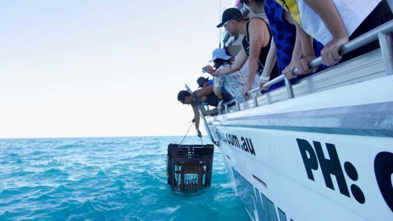 Kalbarri Crayfish Catch & Keep Tour - What’s included?