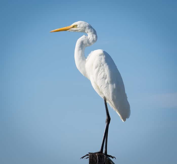 Kalbarri: Murchison River Wilderness Wildlife Cruise - Who Should Consider This Tour?