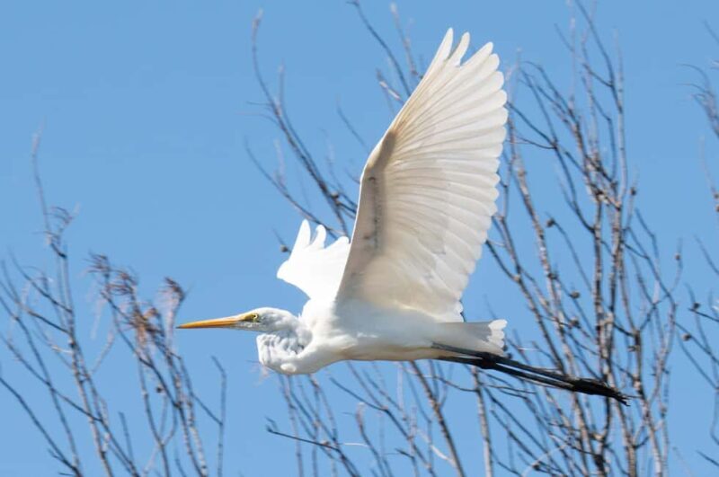 Kalbarri: Murchison River Wilderness Wildlife Cruise - FAQ