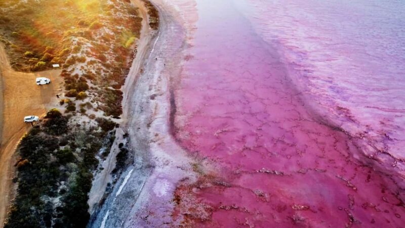 Kalbarri: Pink Lake and Coastal Cliffs Tour - Key Points