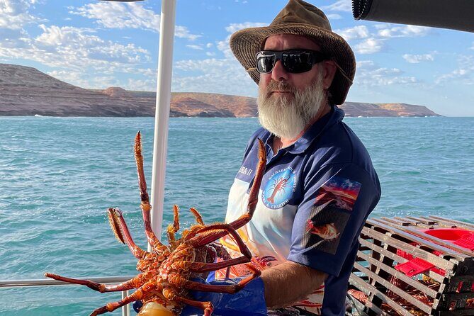 Kalbarri Rock Lobster Pot Pull Tour - Who Should Consider This Tour?
