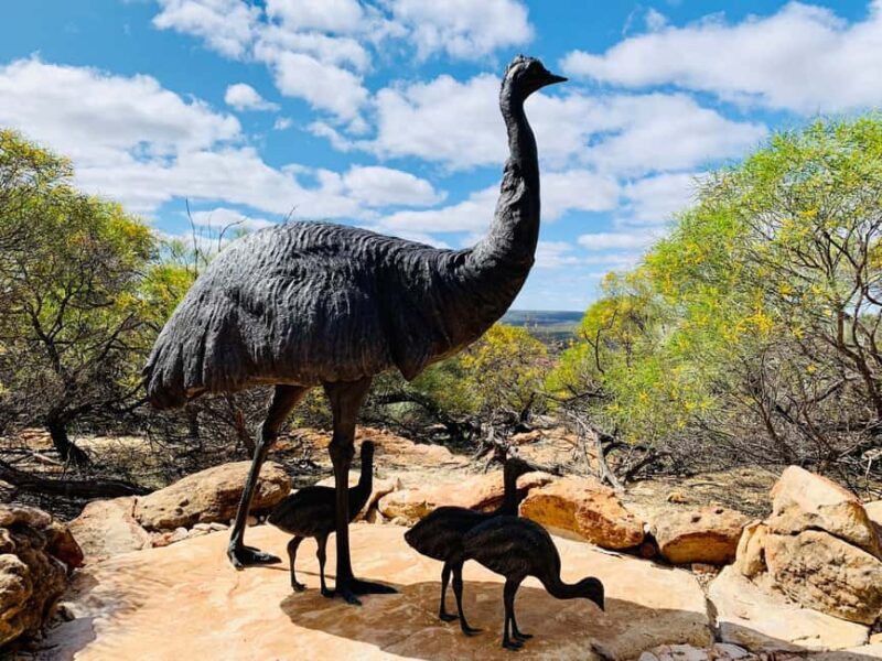 Kalbarri Skywalk Tour - Why the Kalbarri Skywalk Tour is a Fantastic Value