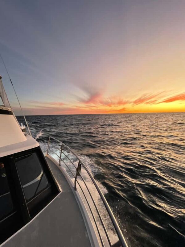 Kalbarri: Sunset Cliff Cruise with Wildlife Spotting - A Complete Look at the Sunset Cliff Cruise