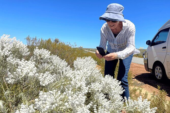 Kalbarri Wildflower Tour - Price & Value