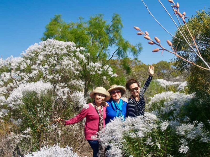 Kalbarri Wildflower Tour with Local Guide - Key Points