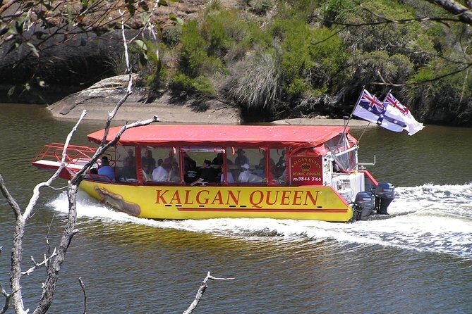 Kalgan Queen Scenic Cruises a four hour sheltered water wildlife tour daily fun. - Discover Albany’s Wilderness and History with the Kalgan Queen Scenic Cruises