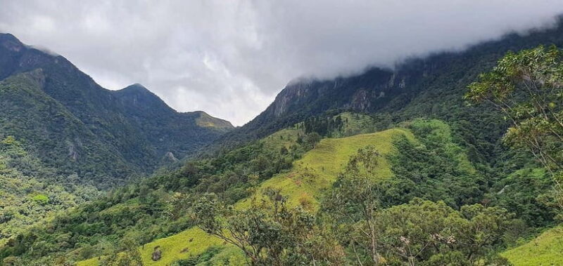 Kalupahana: Horton Plains Foothill Trail Guided Hike - Key Points