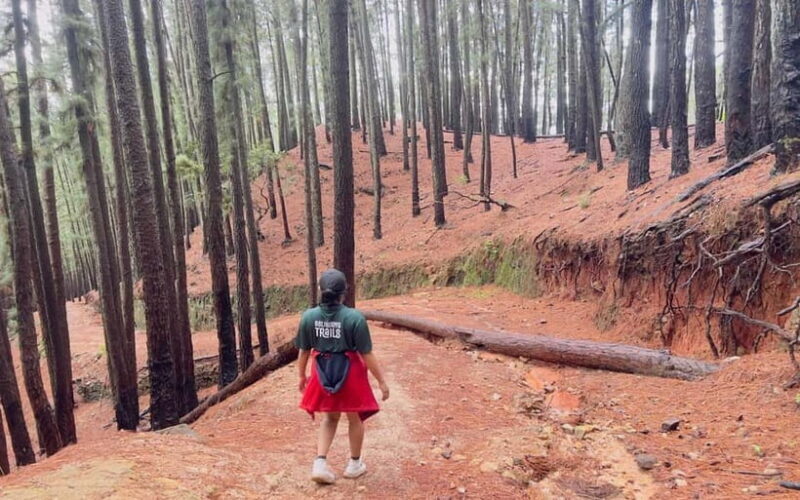 Kalupahana: Wangedigala Hiking Trail Guided Tour - Key Points