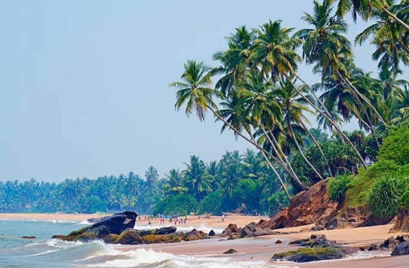 Kalutara: Private City Sightseeing Guided Tour by Tuk Tuk - Who Should Book This Tour?