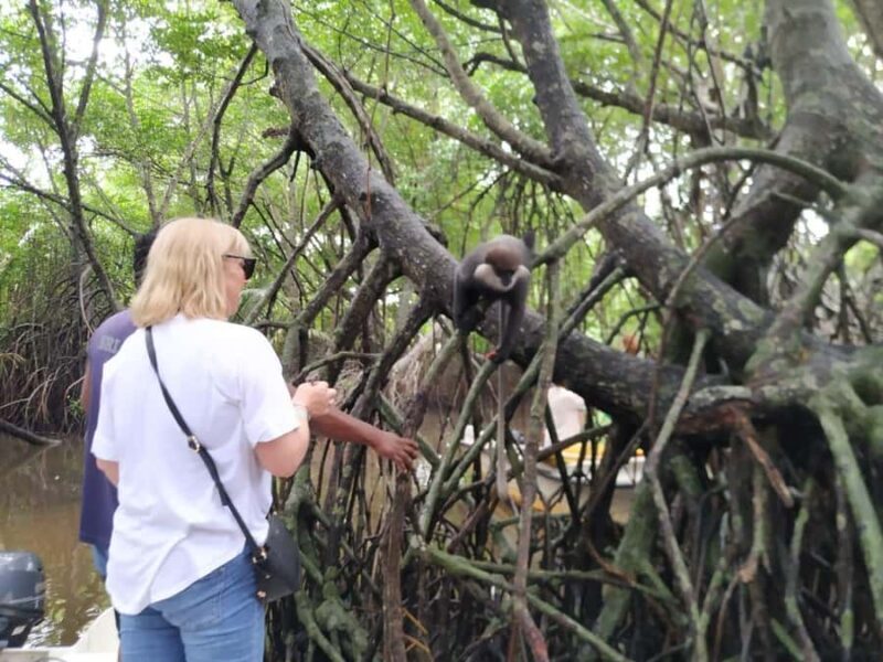 Kalutara: Private City Sightseeing Guided Tour by Tuk Tuk - FAQ
