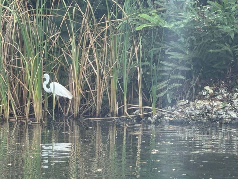 Kalutara/Wadduwa: Galle Fort, Koggala Lake Safari & Kayaking - Practical Details & Tips