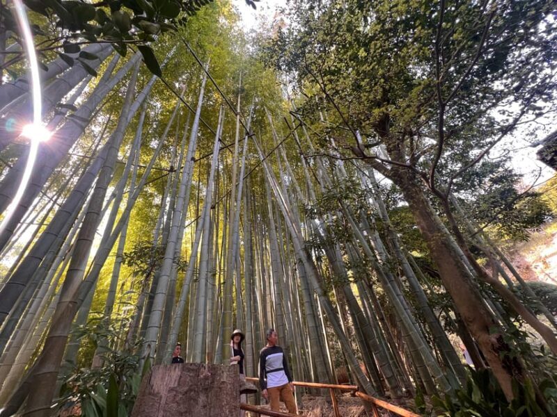 Kamakura and Enoshima: Private Guided Day Tour with Vehicle - Key Points  