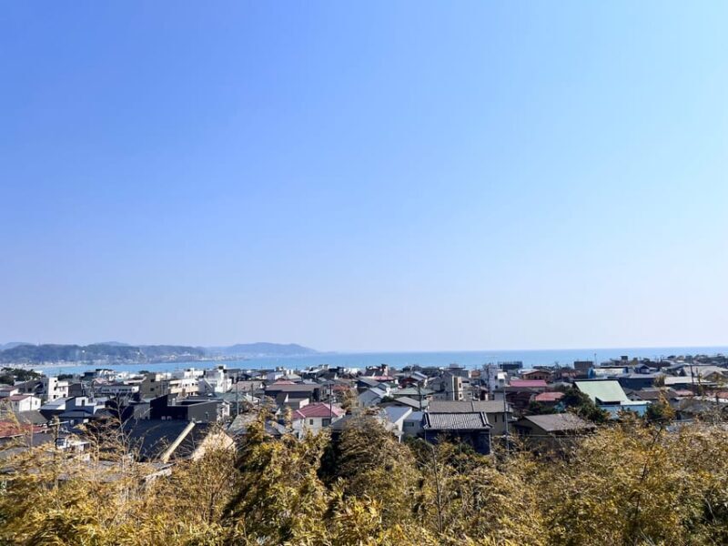 Kamakura and Enoshima: Private Guided Day Tour with Vehicle - What to Expect from the Kamakura and Enoshima Private Tour  