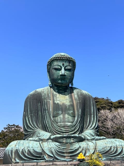 Kamakura and Enoshima: Private Guided Day Tour with Vehicle - Who Will Enjoy This Tour?  