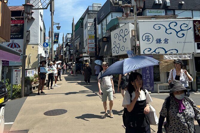 Kamakura and Enoshima Shared Walking Tour - A Deep Dive Into the Kamakura and Enoshima Experience