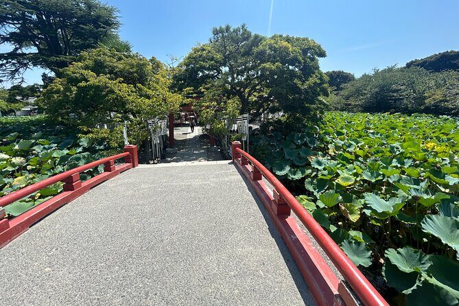 Kamakura and Enoshima Shared Walking Tour - Who Is This Tour Best For?