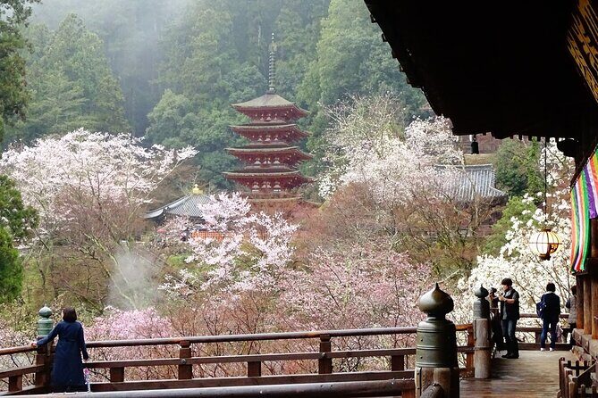 Kamakura and Yokohama Private Tour with Bilingual Chauffeur - What Past Travelers Say