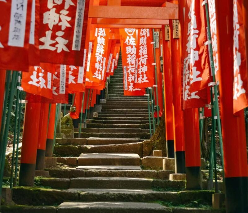 Kamakura: Cherry Blossom Full Day Tour with Expert Guide - Key Points