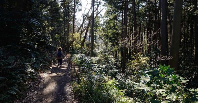 kamakura-daibutsu-hiking-trail-tour-with-local-guide