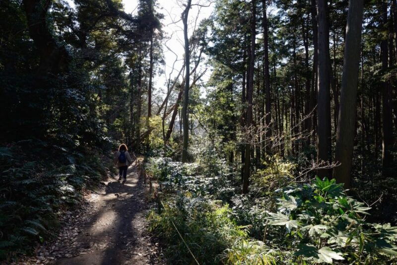 kamakura-daibutsu-hiking-trail-tour-with-local-guide