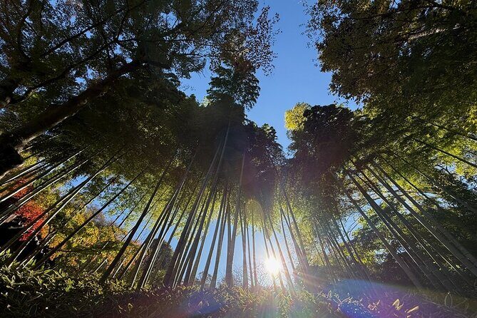 Kamakura Day Trip from Tokyo: Private Guided Walking Tour - An In-Depth Look at the Kamakura Private Guided Tour