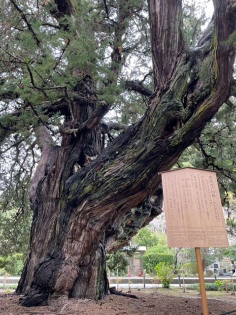 kamakura-first-samurai-capital-walking-tour