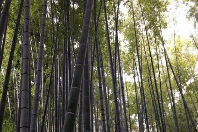 kamakura-flower-tour