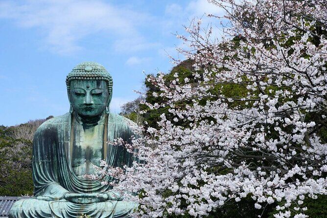 Kamakura Full Day Tour: Kotoku-in & Enoshima & Hachimangu Shrine - Final Summary