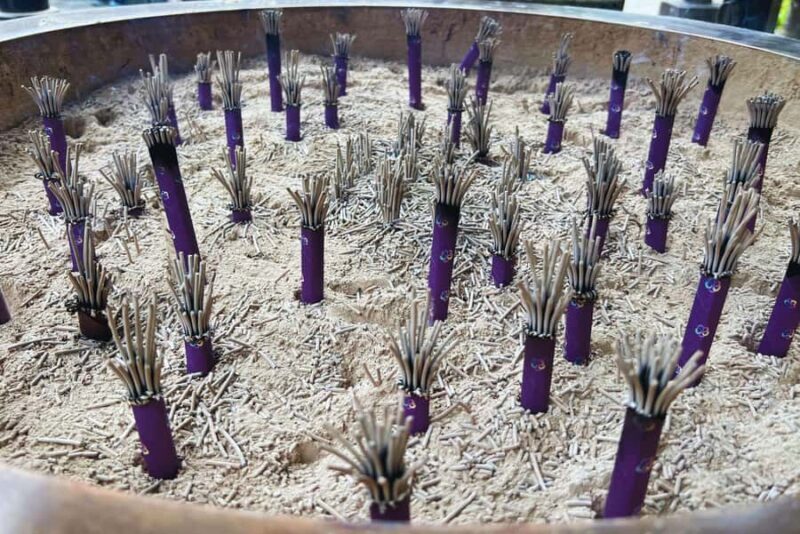 Kamakura Full-Day Tour: Sacred Sites for Love & Prosperity - Key Points