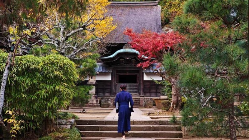 Kamakura: Great Buddha Hike, Hidden Shrines & Zen Temples - Key Points
