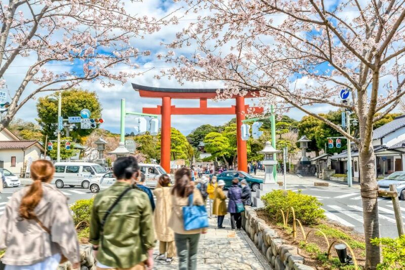 kamakura-greedy-gourmet-and-temple-tour