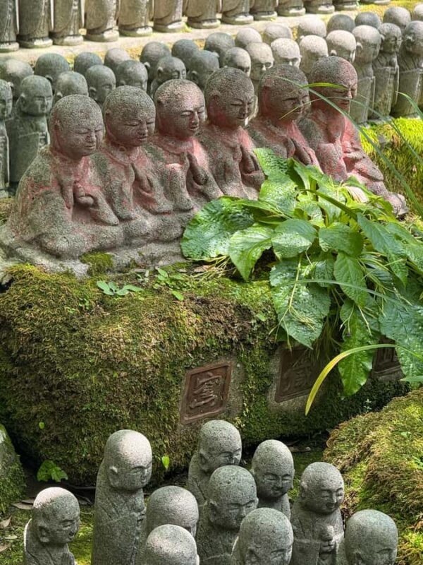 Kamakura Guided Tour with a 5 STAR Tour Guide - Key Points