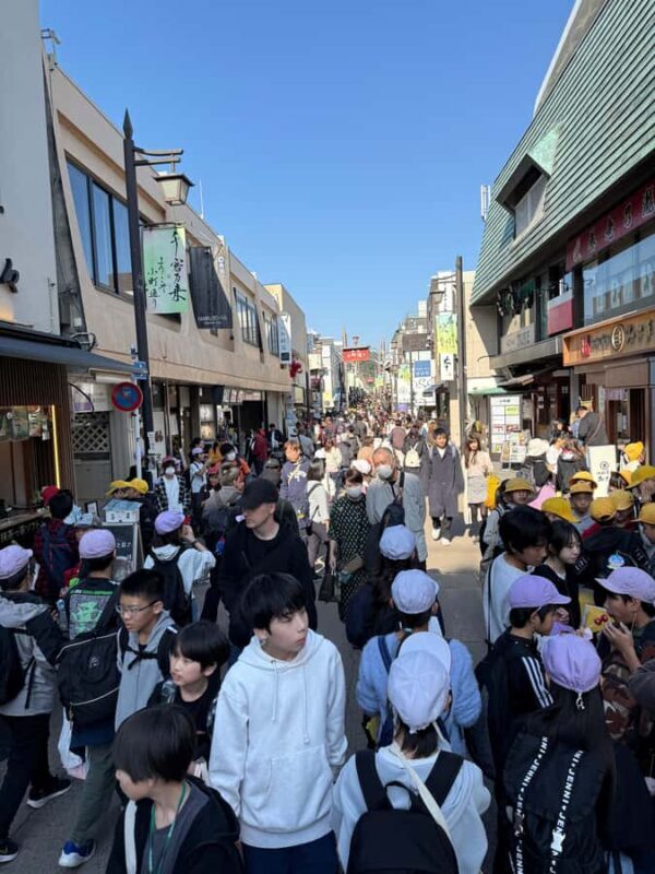 Kamakura Guided Tour with a 5 STAR Tour Guide - Exploring Kamakura in Style: The Complete Experience