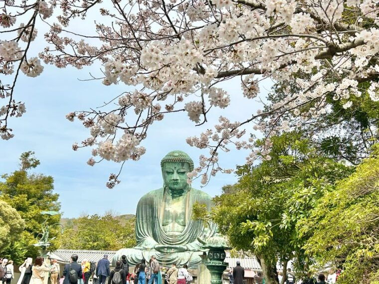 kamakura-half-day-walking-tour-japanese-sweets