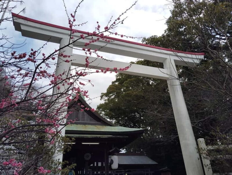 Kamakura: Hidden Gems and Sacred Sites Guided Tour - FAQ