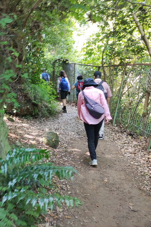 kamakura-hiking-with-private-guide-in-spanish