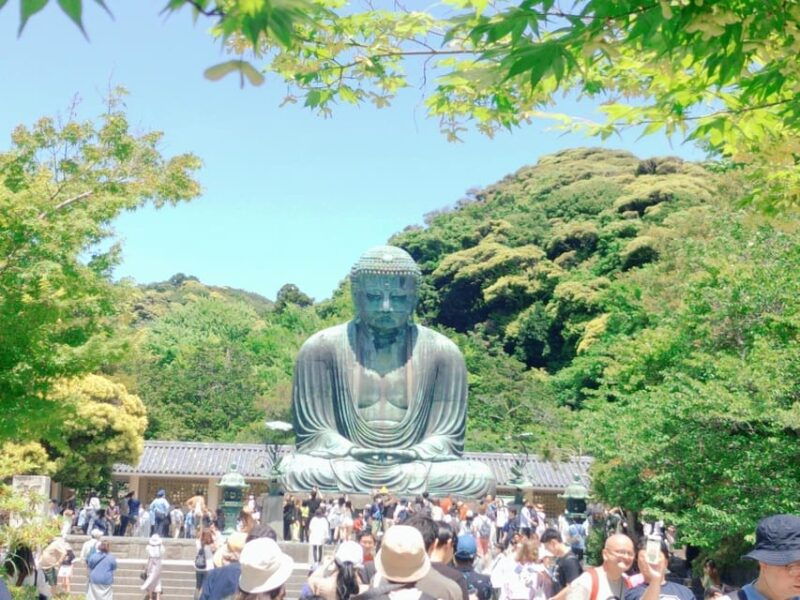 kamakura-hiking-with-private-guide-in-spanish