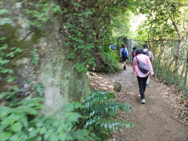 kamakura-hiking-with-private-guide-in-spanish