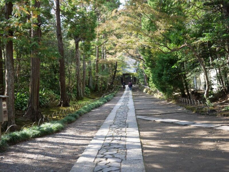 kamakura-historical-walking-tour-with-the-great-buddha-2