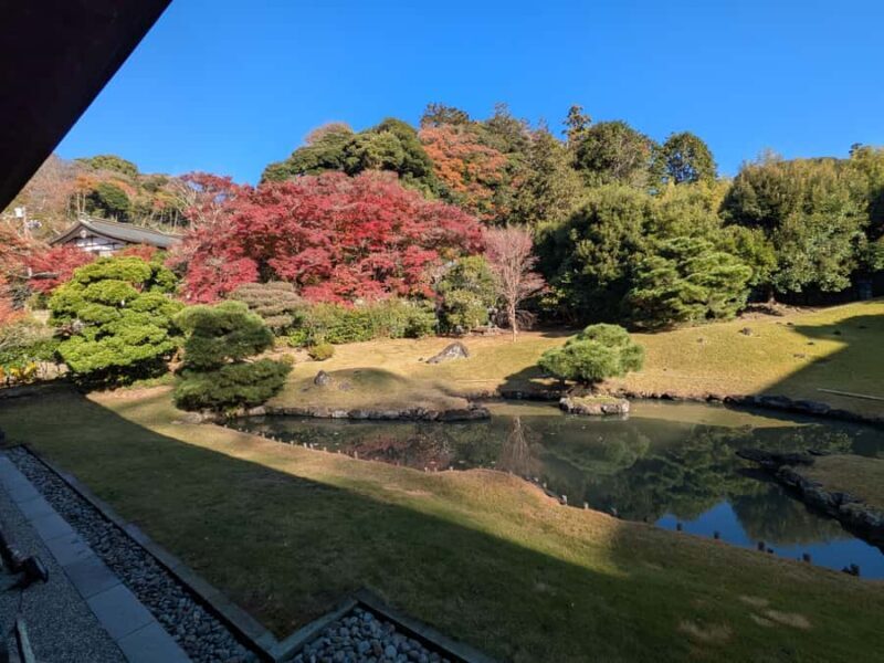 Kamakura: King of Hell, Tsurugaoka Shrine & Zen Tour - Starting Point: Tsurugaoka Hachimangu Shrine