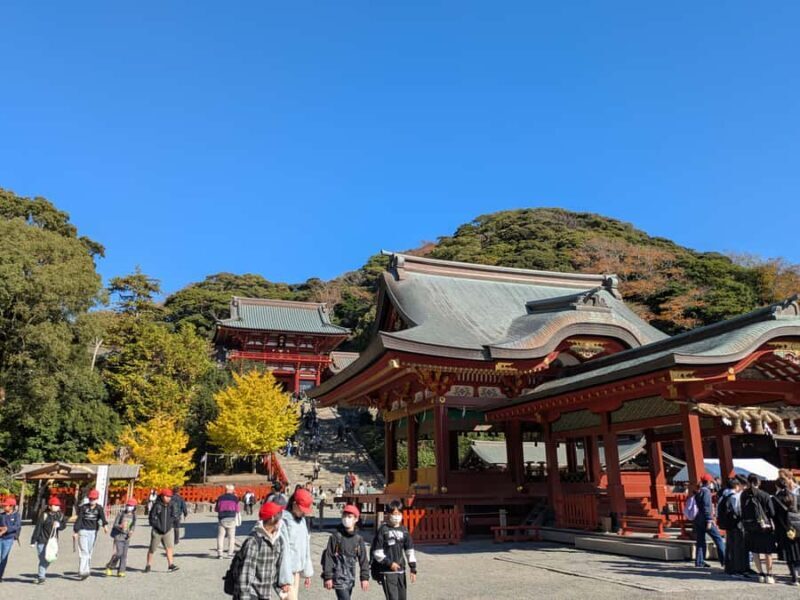 Kamakura: King of Hell, Tsurugaoka Shrine & Zen Tour - Who Will Love This Tour?
