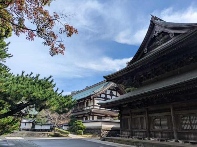 Kamakura: King of Hell, Tsurugaoka Shrine & Zen Tour - Price & Value