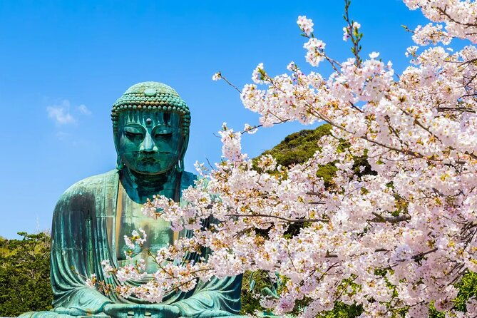 kamakura-kotoku-in-temple-and-enoshima-day-tour-from-tokyo
