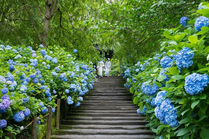 kamakura-private-charter-car-private-tour