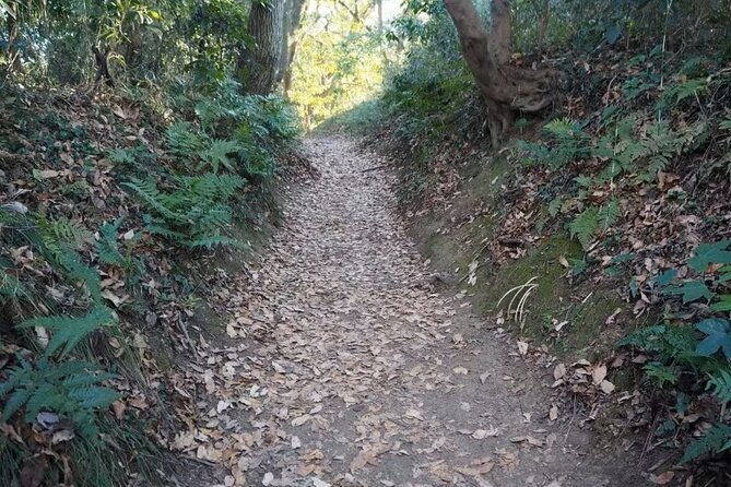 kamakura-private-cultural-and-historical-hiking-tour