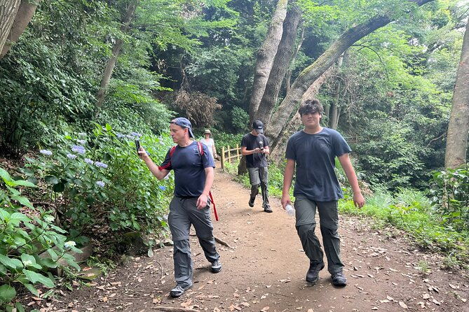 kamakura-private-cultural-and-historical-hiking-tour