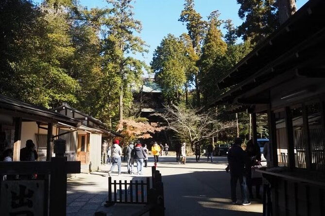 kamakura-private-cultural-and-historical-hiking-tour