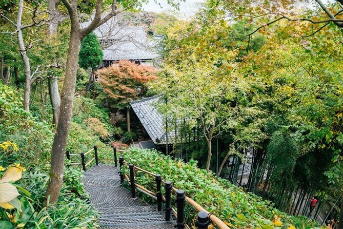 Kamakura Private Custom Tour: Great Buddha, Temples & Coast - Authentic Insights from Reviews